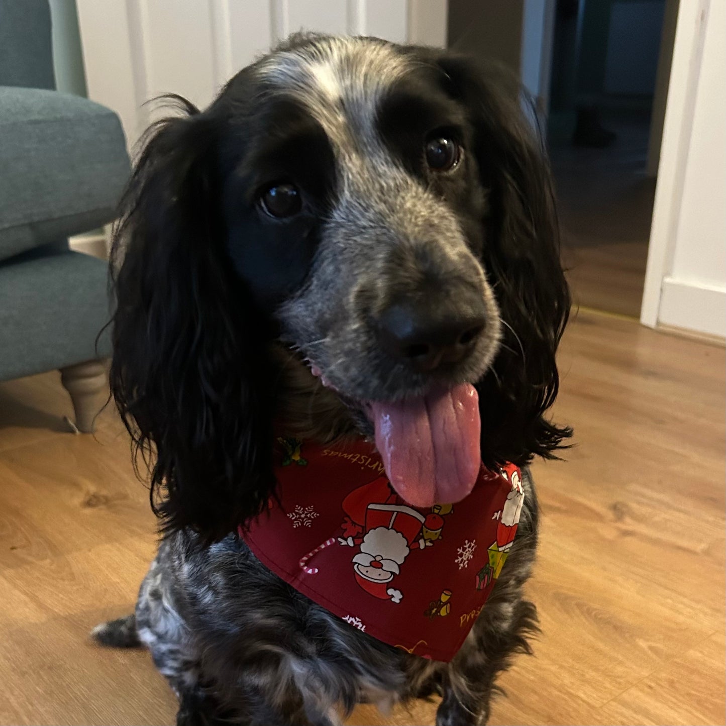 Christmas Dog Bandanas