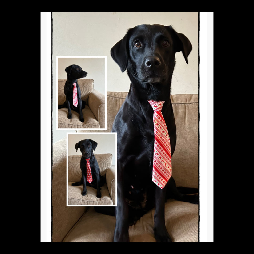 Christmas Dog Ties