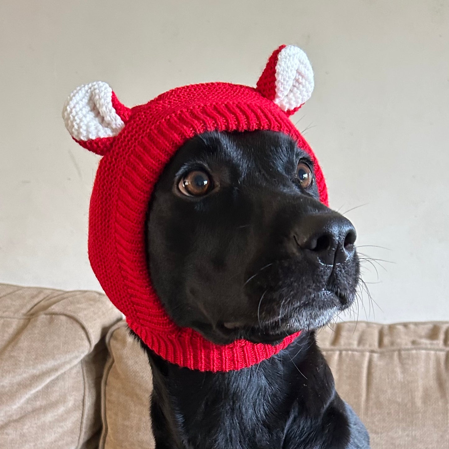 Dog Hats