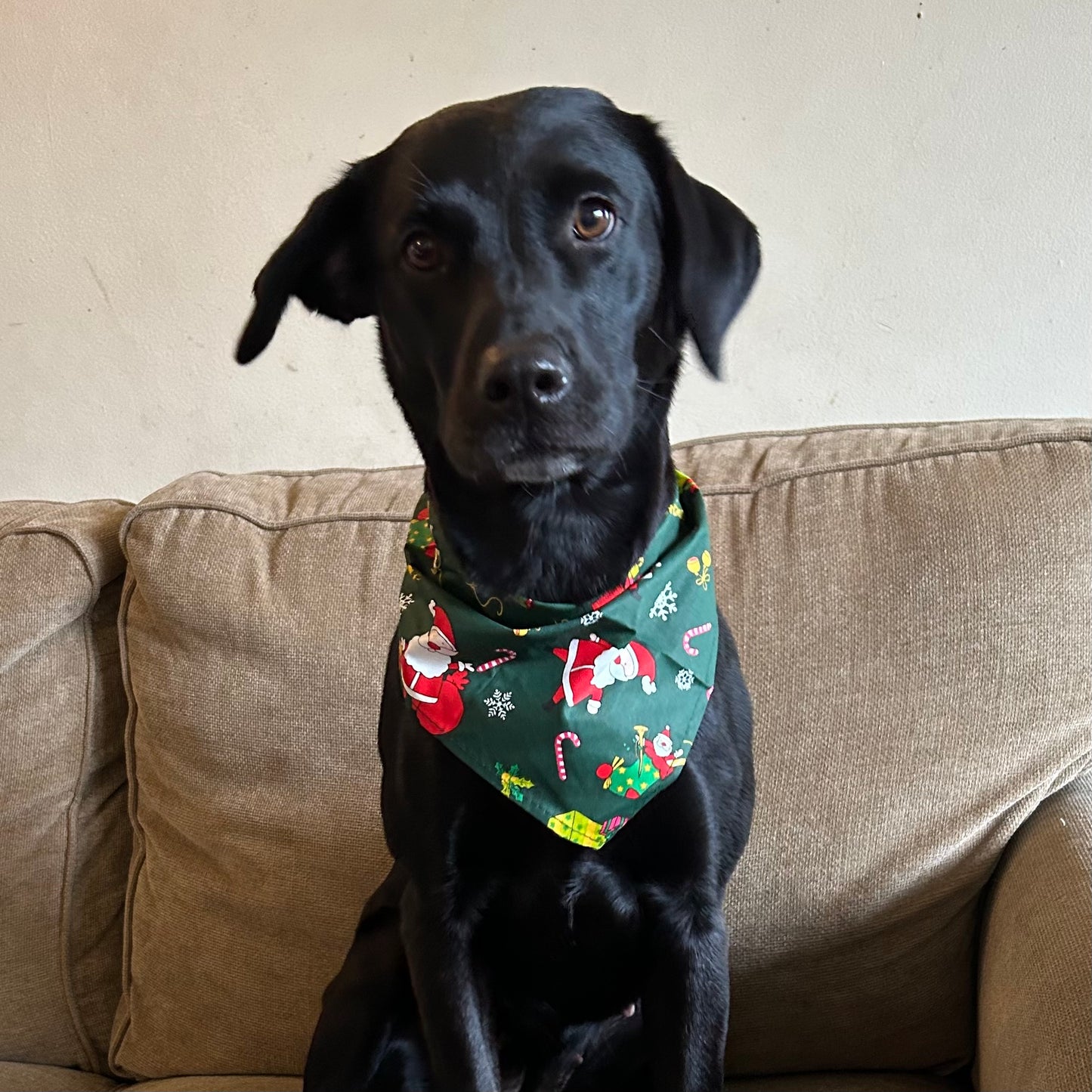 Christmas Dog Bandanas