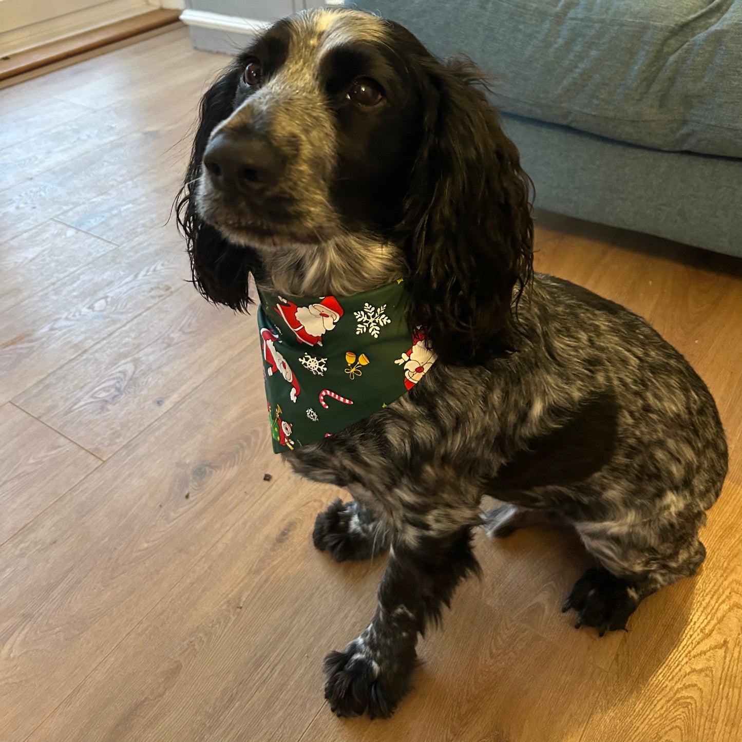 Christmas Dog Bandanas